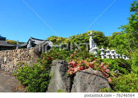 Jeju, Buddhism, temple, Gwaneumsa, Seondeoksa, Beopseongsa, Beophwasa, Seonlimsa, cherry blossoms, spring flowers, spring, lanterns, Hanok, Buddha's birthday Jeju, Buddhism, temple, Gwaneumsa, Seondeoksa, Beopseongsa, Beophwasa, Seonlimsa, cherry blossoms, spring flowers, spring, lanterns, Hanok, Buddha's birthday 76246564