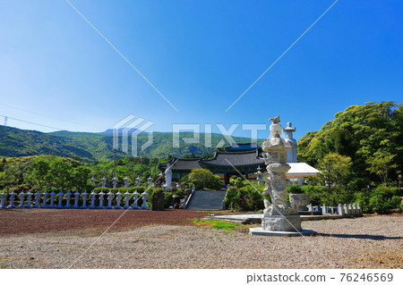 Jeju, Buddhism, temple, Gwaneumsa, Seondeoksa, Beopseongsa, Beophwasa, Seonlimsa, cherry blossoms, spring flowers, spring, lanterns, Hanok, Buddha's birthday Jeju, Buddhism, temple, Gwaneumsa, Seondeoksa, Beopseongsa, Beophwasa, Seonlimsa, cherry blossoms, spring flowers, spring, lanterns, Hanok, Buddha's birthday 76246569
