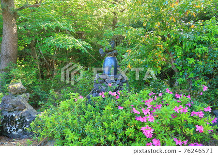 Jeju, Buddhism, temple, Gwaneumsa, Seondeoksa, Beopseongsa, Beophwasa, Seonlimsa, cherry blossoms, spring flowers, spring, lanterns, Hanok, Buddha's birthday 76246571