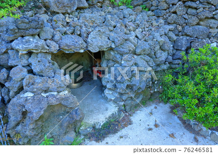 濟州島, 佛教, 寺廟, 觀音寺, 善德寺, 法聖寺, 法華寺, 仙林寺, 櫻花, 春天的花朵, 春天, 蓮花燈, 韓屋, 佛誕 76246581