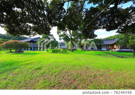 濟州島, 佛教, 寺廟, 觀音寺, 善德寺, 法聖寺, 法華寺, 仙林寺, 櫻花, 春天的花朵, 春天, 蓮花燈, 韓屋, 佛誕 76246598