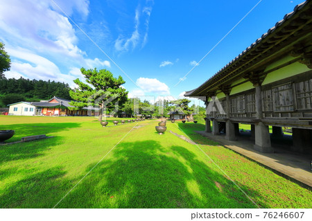 Jeju, Buddhism, temple, Gwaneumsa, Seondeoksa, Beopseongsa, Beophwasa, Seonlimsa, cherry blossoms, spring flowers, spring, lanterns, Hanok, Buddha's birthday Jeju, Buddhism, temple, Gwaneumsa, Seondeoksa, Beopseongsa, Beophwasa, Seonlimsa, cherry blossoms, spring flowers, spring, lanterns, Hanok, Buddha's birthday 76246607