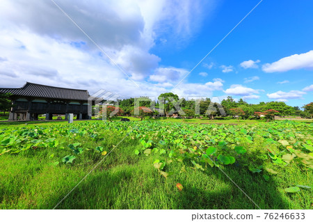 Jeju, Buddhism, temple, Gwaneumsa, Seondeoksa, Beopseongsa, Beophwasa, Seonlimsa, cherry blossoms, spring flowers, spring, lanterns, Hanok, Buddha's birthday Jeju, Buddhism, temple, Gwaneumsa, Seondeoksa, Beopseongsa, Beophwasa, Seonlimsa, cherry blossoms, spring flowers, spring, lanterns, Hanok, Buddha's birthday 76246633