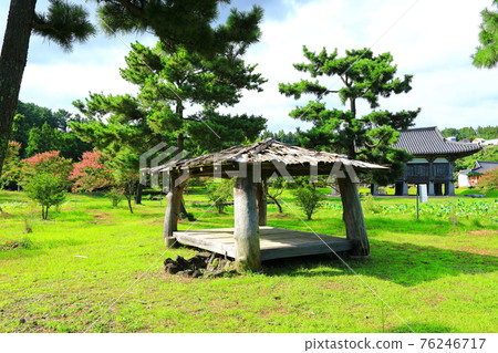 Jeju, Buddhism, temple, Gwaneumsa, Namgukseo, Beopseongsa, Beophwasa, Seonlimsa, cherry blossoms, flowers, spring, lanterns, Hanok, Buddha's birthday Jeju, Buddhism, temple, Gwaneumsa, Namgukseo, Beopseongsa, Beophwasa, Seonlimsa, cherry blossoms, flowers, spring, lanterns, Hanok, Buddha's birthday 76246717