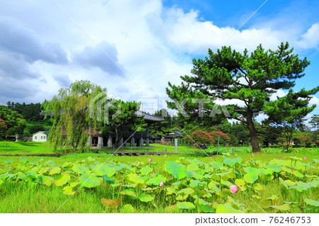 Jeju, Buddhism, temple, Gwaneumsa, Namgukseo, Beopseongsa, Beophwasa, Seonlimsa, cherry blossoms, flowers, spring, lanterns, Hanok, Buddha's birthday Jeju, Buddhism, temple, Gwaneumsa, Namgukseo, Beopseongsa, Beophwasa, Seonlimsa, cherry blossoms, flowers, spring, lanterns, Hanok, Buddha's birthday 76246753