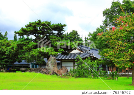 Jeju, Buddhism, temple, Gwaneumsa, Namgukseo, Beopseongsa, Beophwasa, Seonlimsa, cherry blossoms, flowers, spring, lanterns, Hanok, Buddha's birthday Jeju, Buddhism, temple, Gwaneumsa, Namgukseo, Beopseongsa, Beophwasa, Seonlimsa, cherry blossoms, flowers, spring, lanterns, Hanok, Buddha's birthday 76246762