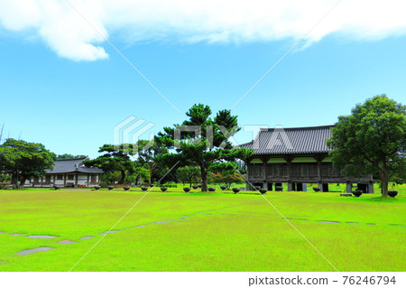 Jeju, Buddhism, temple, Gwaneumsa, Namgukseo, Beopseongsa, Beophwasa, Seonlimsa, cherry blossoms, flowers, spring, lanterns, Hanok, Buddha's birthday 76246794