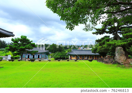 Jeju, Buddhism, temple, Gwaneumsa, Namgukseo, Beopseongsa, Beophwasa, Seonlimsa, cherry blossoms, flowers, spring, lanterns, Hanok, Buddha's birthday 76246813