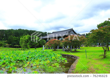 Jeju, Buddhism, temple, Gwaneumsa, Namgukseo, Beopseongsa, Beophwasa, Seonlimsa, cherry blossoms, flowers, spring, lanterns, Hanok, Buddha's birthday 76246828