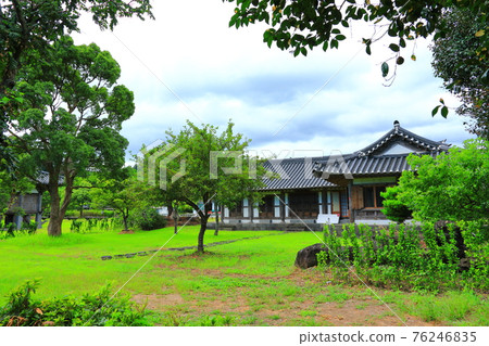 Jeju, Buddhism, temple, Gwaneumsa, Namgukseo, Beopseongsa, Beophwasa, Seonlimsa, cherry blossoms, flowers, spring, lanterns, Hanok, Buddha's birthday 76246835