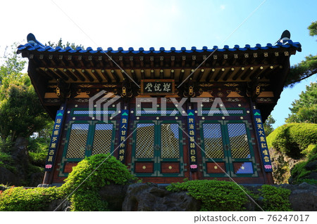 Jeju, Buddhism, temple, Gwaneumsa, Cheonwasa, Guamgulsa, Buddha statue, Sakyamuni, cherry blossoms, spring, lanterns, Hanok, Sakyamuni's birthday 76247017