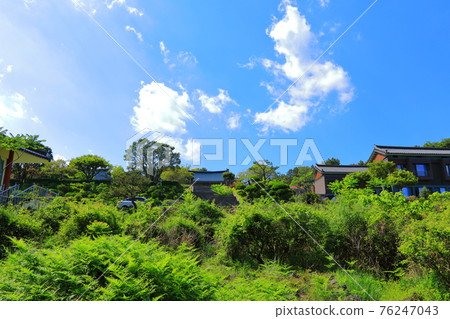 Jeju, Buddhism, temple, Gwaneumsa, Cheonwasa, Guamgulsa, Buddha statue, Sakyamuni, cherry blossoms, spring, lanterns, Hanok, Sakyamuni's birthday 76247043