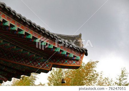 Jeju, Buddhism, temple, Gwaneumsa, Cheonwasa, Guamgulsa, Buddha statue, Sakyamuni, cherry blossoms, spring, lanterns, Hanok, Sakyamuni's birthday Jeju, Buddhism, temple, Gwaneumsa, Cheonwasa, Guamgulsa, Buddha statue, Sakyamuni, cherry blossoms, spring, lanterns, Hanok, Sakyamuni's birthday 76247051