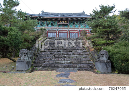 Jeju, Buddhism, temple, Gwaneumsa, Cheonwasa, Guamgulsa, Buddha statue, Sakyamuni, cherry blossoms, spring, lanterns, Hanok, Sakyamuni's birthday 76247065