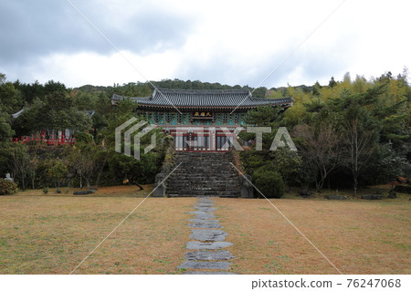 Jeju, Buddhism, temple, Gwaneumsa, Cheonwasa, Guamgulsa, Buddha statue, Sakyamuni, cherry blossoms, spring, lanterns, Hanok, Sakyamuni's birthday Jeju, Buddhism, temple, Gwaneumsa, Cheonwasa, Guamgulsa, Buddha statue, Sakyamuni, cherry blossoms, spring, lanterns, Hanok, Sakyamuni's birthday 76247068