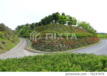濟州島, 佛教, 寺廟, 觀音寺, 天華寺, 觀佛寺, 佛像, 釋迦牟尼, 櫻花, 春天, 蓮花燈, 韓屋, 釋迦牟尼誕辰 濟州島, 佛教, 寺廟, 觀音寺, 天華寺, 觀佛寺, 佛像, 釋迦牟尼, 櫻花, 春天, 蓮花燈, 韓屋, 釋迦牟尼誕辰 76247076