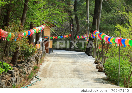 Jeju, Buddhism, temple, Gwaneumsa, Seondeoksa, Beopseongsa, Beophwasa, Seonlimsa, cherry blossoms, spring flowers, spring, lanterns, Hanok, Buddha's birthday Jeju, Buddhism, temple, Gwaneumsa, Seondeoksa, Beopseongsa, Beophwasa, Seonlimsa, cherry blossoms, spring flowers, spring, lanterns, Hanok, Buddha's birthday 76247140