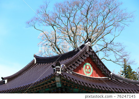Jeju, Buddhism, temple, Gwaneumsa, Seondeoksa, Beopseongsa, Beophwasa, Seonlimsa, cherry blossoms, spring flowers, spring, lanterns, Hanok, Buddha's birthday Jeju, Buddhism, temple, Gwaneumsa, Seondeoksa, Beopseongsa, Beophwasa, Seonlimsa, cherry blossoms, spring flowers, spring, lanterns, Hanok, Buddha's birthday 76247145