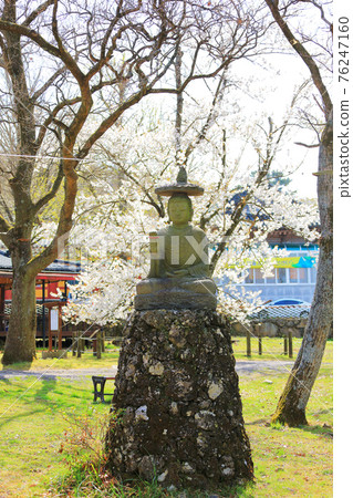Jeju, Buddhism, temple, Gwaneumsa, Seondeoksa, Beopseongsa, Beophwasa, Seonlimsa, cherry blossoms, spring flowers, spring, lanterns, Hanok, Buddha's birthday Jeju, Buddhism, temple, Gwaneumsa, Seondeoksa, Beopseongsa, Beophwasa, Seonlimsa, cherry blossoms, spring flowers, spring, lanterns, Hanok, Buddha's birthday 76247160