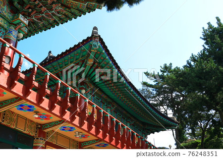 Jeju, Buddhism, temple, Gwaneumsa, Seondeoksa, Beopseongsa, Beophwasa, Seonlimsa, cherry blossoms, spring flowers, spring, lanterns, Hanok, Buddha's birthday Jeju, Buddhism, temple, Gwaneumsa, Seondeoksa, Beopseongsa, Beophwasa, Seonlimsa, cherry blossoms, spring flowers, spring, lanterns, Hanok, Buddha's birthday 76248351