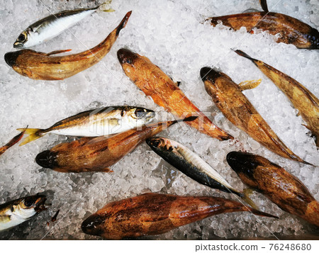fresh fishes on the ice cubes 76248680