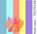 Digital Illustration of a delicate flower against a rainbow colored background to show concept of Women's Day and Women's Month Celebration including the LGBTQ community 76250198