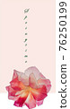 Dainty pink flowers with the word Spring 76250199