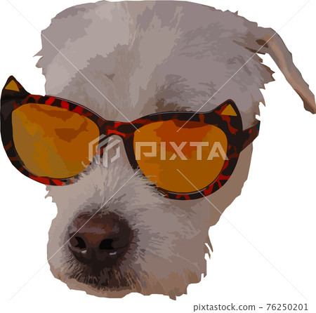 Digital illustration of a dog wearing cat sunglasses showing concept of fun, summer and fashion Digital illustration of a dog wearing cat sunglasses showing concept of fun, summer and fashion 76250201