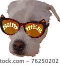 Digital illustration of a dog wearing cat sunglasses showing concept of fun, summer and fashion 76250202