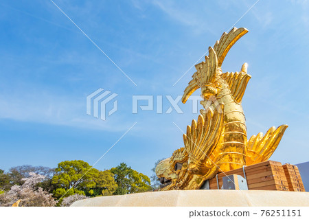 Nagoya Castle, male gold sardine that descended to the ground <Nagoya City, Aichi Prefecture> Nagoya Castle, male gold sardine that descended to the ground <Nagoya City, Aichi Prefecture> 76251151