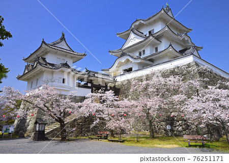 春天伊賀上野城（三重縣伊賀市） 76251171