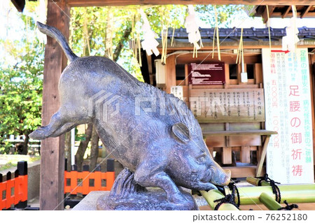 Kyoto · Niou shrine 76252180