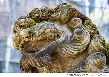 Yoyogi Hachimangu Shrine guardian dog Yoyogi Hachimangu Shrine guardian dog 76252507
