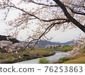盛開的櫻花和河景 76253863