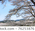 盛開櫻花樹的風景 76253876
