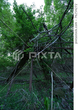 Ruins Yamanashi Prefecture Egusa Elementary School Closed School Classroom Playground Playset 76254272