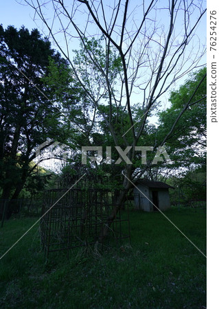 Ruins Yamanashi Prefecture Egusa Elementary School Closed School Classroom Playground Playset Ruins Yamanashi Prefecture Egusa Elementary School Closed School Classroom Playground Playset 76254276