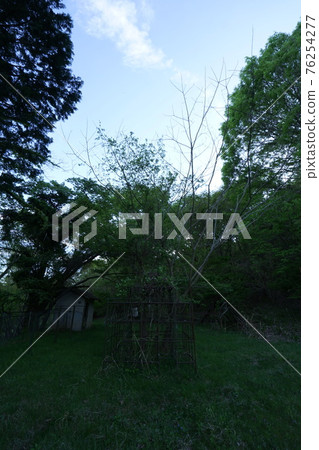 Ruins Yamanashi Prefecture Egusa Elementary School Closed School Classroom Playground Playset Ruins Yamanashi Prefecture Egusa Elementary School Closed School Classroom Playground Playset 76254277