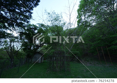 廢墟山梨縣江草小學關閉學校教室遊樂場玩具套裝 76254278