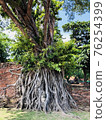 Ayutthaya, the ancient capital of Thailand 76254399