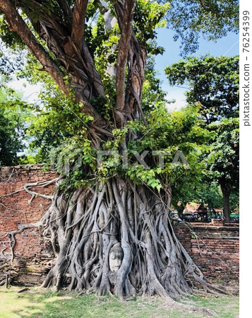 Ayutthaya, the ancient capital of Thailand 76254399