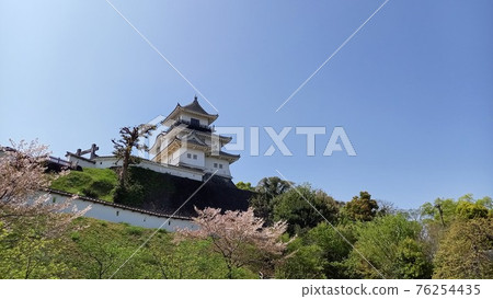 Kakegawa Castle castle tower and cherry blossoms 76254435