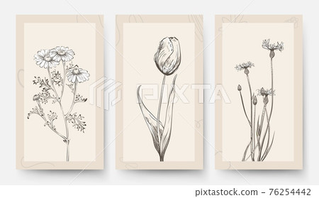 Vintage wedding card template. Floral banners, posters with flowers. Tulip chamomile, wild meadow plants vector background Vintage wedding card template. Floral banners, posters with flowers. Tulip chamomile, wild meadow plants vector background 76254442