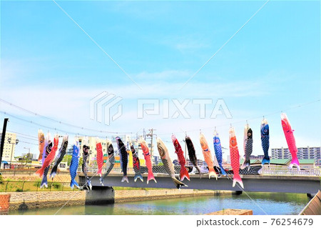 Nankai Main Line Sakai Station / Sakai Station South Pedestrian Bridge Carp Streamer 76254679