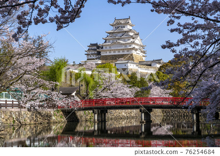 [Hyogo Prefecture] Spring Himeji Castle castle tower and cherry blossoms 76254684