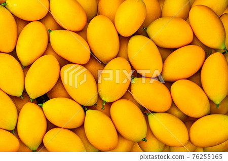 Top view pile of the most popular ripe fruit in summer season in Thailand. Top view pile of the most popular ripe fruit in summer season in Thailand. 76255165