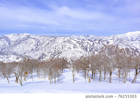 [Okutadami Maruyama Ski Resort] View from near the summit 76255303