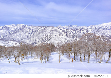 【奧多丹丸山滑雪場】從山頂附近眺望 【奧多丹丸山滑雪場】從山頂附近眺望 76255305