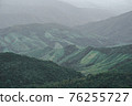 Panoramic landscape picture of fresh green rain forest and mountain background. 76255727