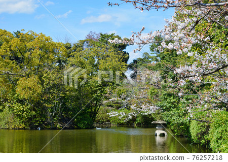 京都神泉園法成池 76257218